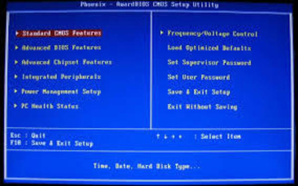 Large thumb bios
